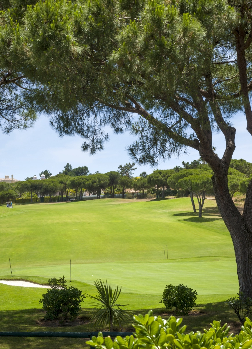 Long Term Rentals Carvoeiro, Algarve